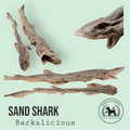 Baby Shark (Whole Dog Fish)