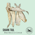 Shark Tail