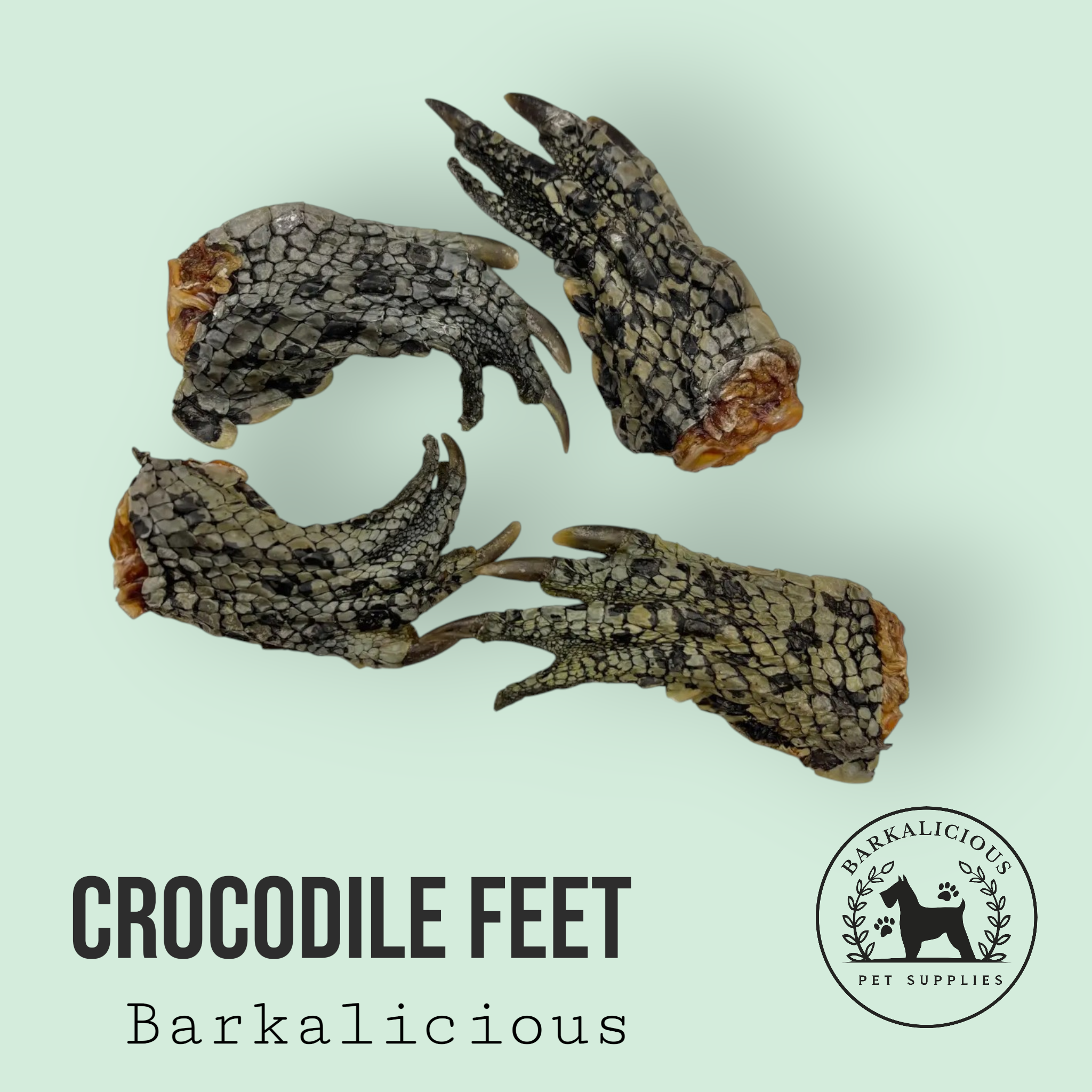 Crocodile Feet