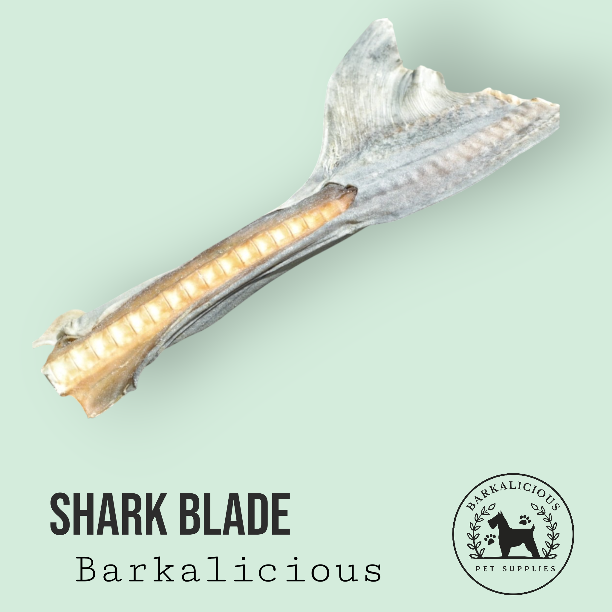 Shark Blade