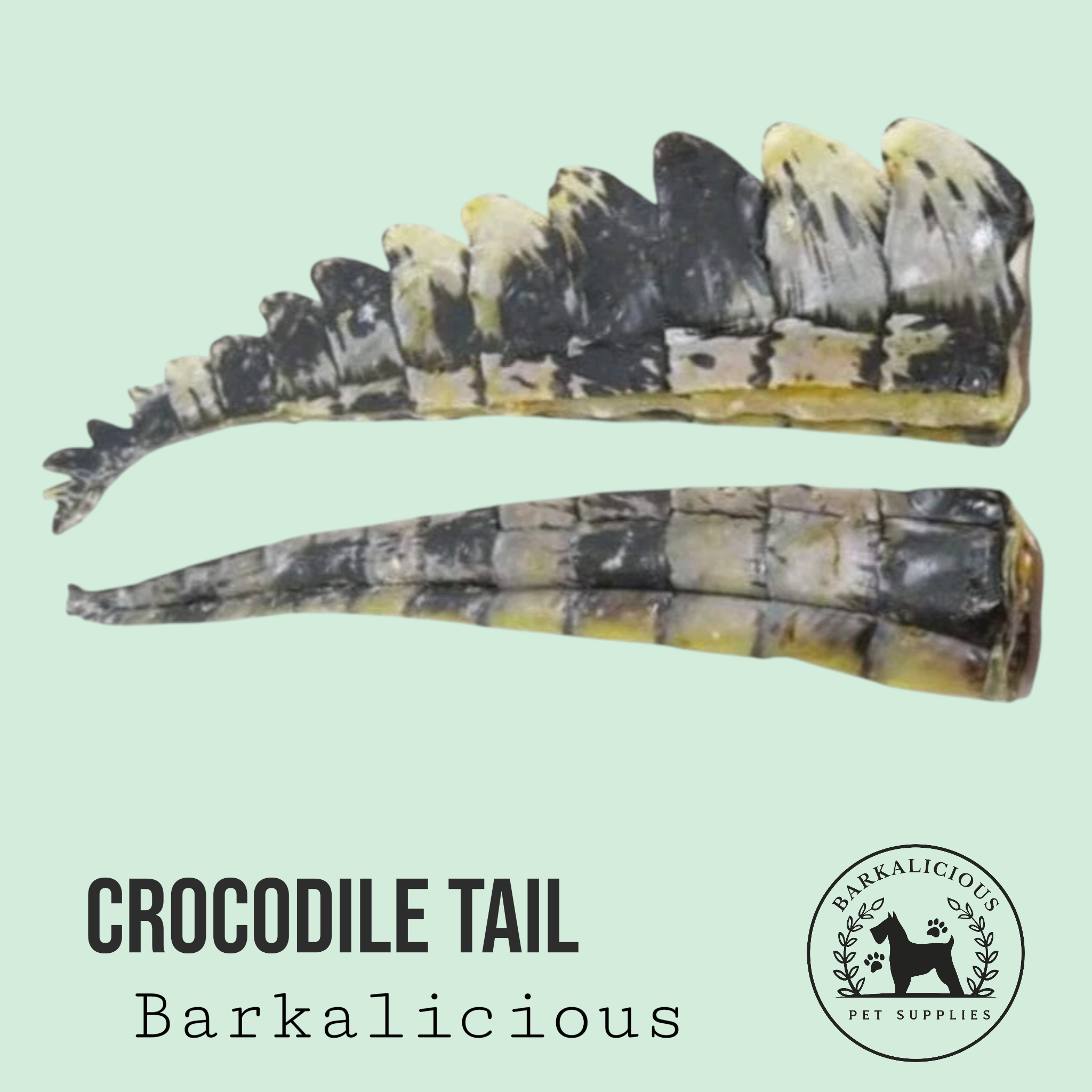 Crocodile Tails